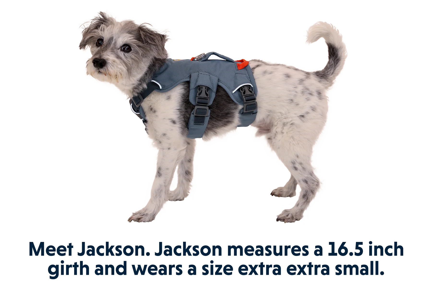 Product image 32
